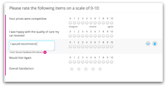 Salesforce survey labels
