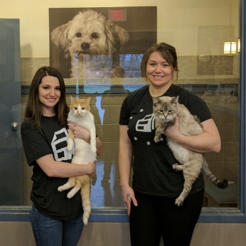 Woodford Humane Society